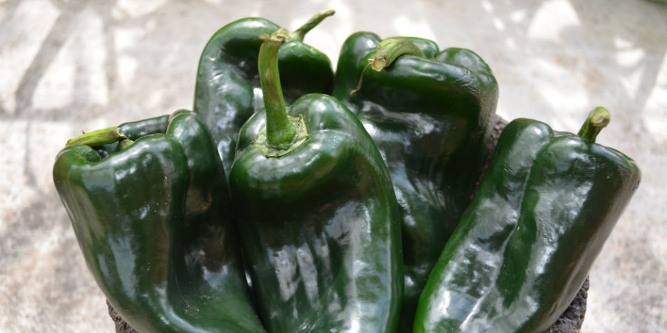 ¿Cómo limpiar chiles poblanos?