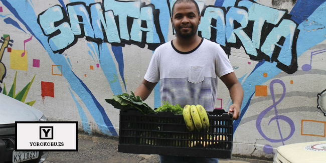 Saladorama: un innovador negocio social que lucha contra la comida basura en las favelas