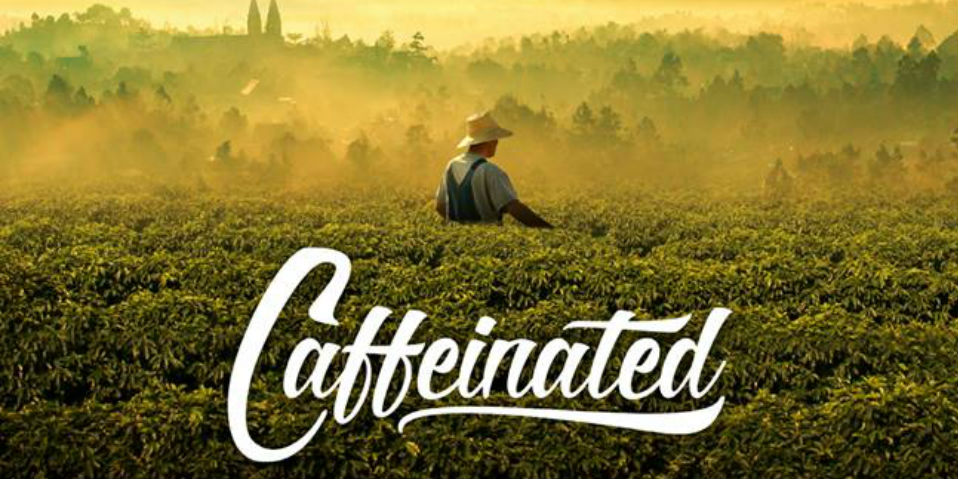 #VIDEO Cada taza de café tiene una historia