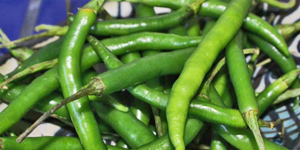 #50SaboresMexicanos Su majestad el chile de árbol