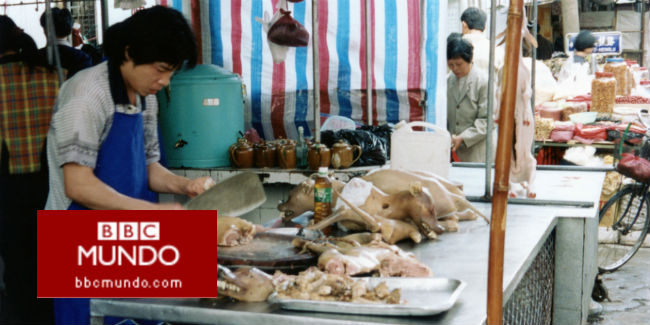 Yulin: el polémico festival chino en el que se comen 10.000 perros