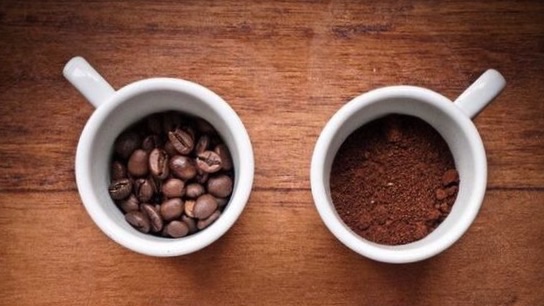 Para exportación, 85% de alimentos orgánicos mexicanos