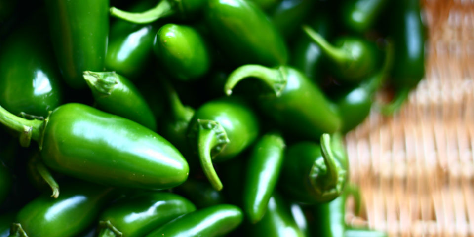 recetas de botanas ricas y fáciles