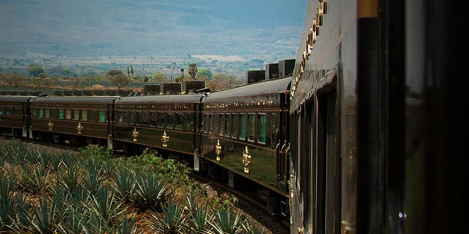 Recorre la ruta del tequila, ¡sin salir de casa!