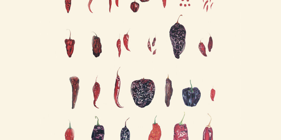 Chiles, ajíes y especias serán los protagonistas del III Foro Mundial de la Gastronomía Mexicana