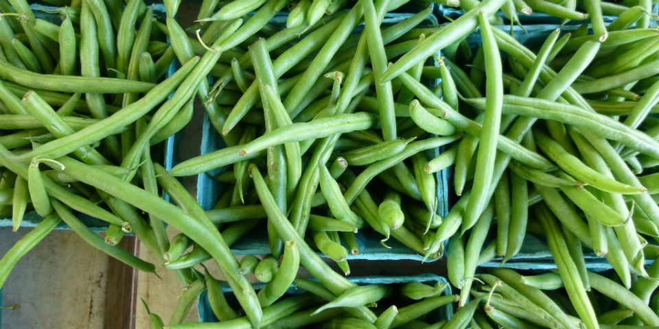 #50SaboresMexicanos Los siempre verdes y tiernos ejotes