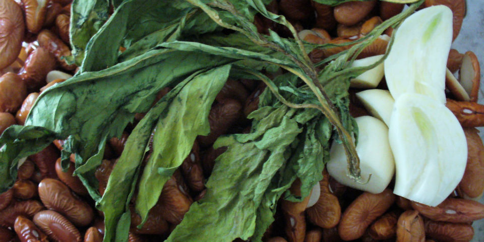 Epazote, el perfume de la cocina casera mexicana