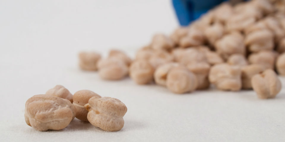 #50SaboresMexicanos Garbanzo, el pequeño turco que conquistó América