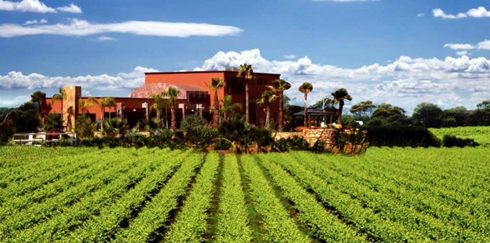 Las Fiestas de la Vendimia llegan a Baja California ¡prepárate!