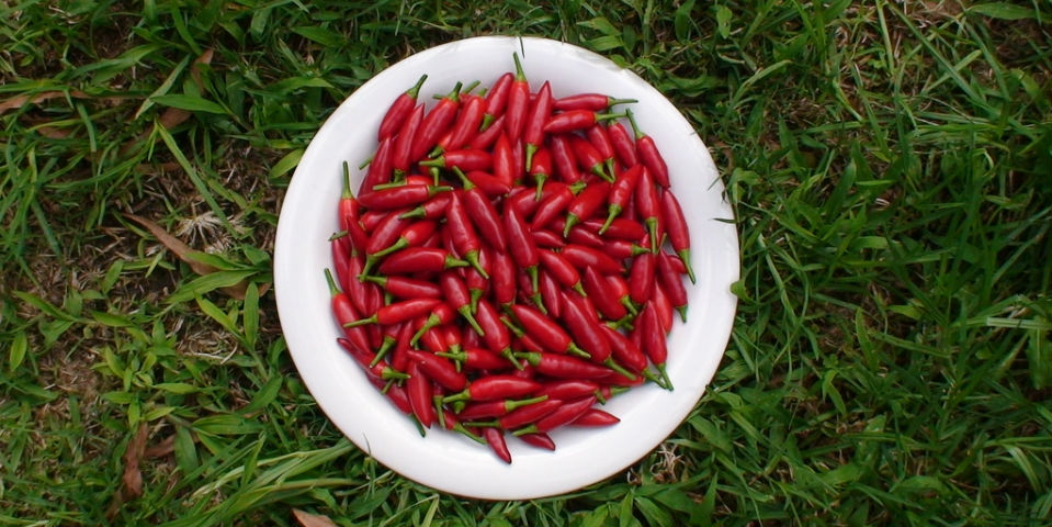 #AgendaGourmet del 23 al 29 de noviembre