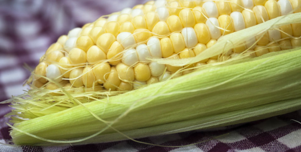 Cocineros de México se pronuncian frente a transgénicos