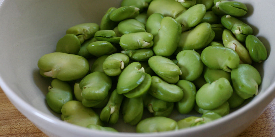 #50SaboresMexicanos Habas, la fabácea peregrina