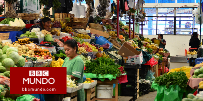 ¿Por qué sólo consumimos el 0,06% de las 300.000 plantas que podríamos comer?