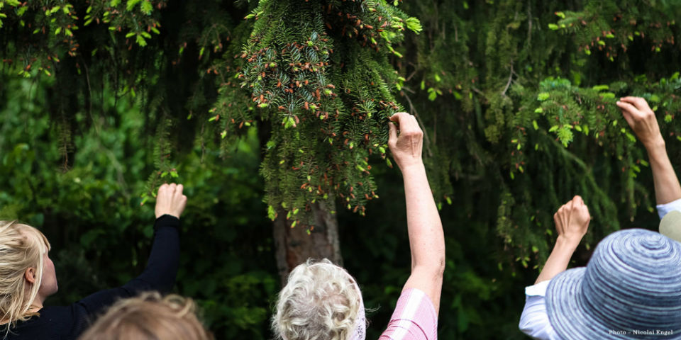 Por una alimentación silvestre y sustentable: Vild MAD