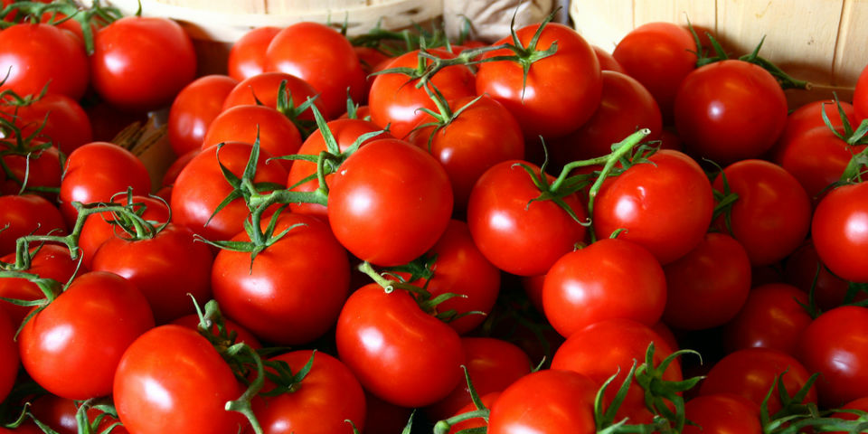 #50SaboresMexicanos El omnipresente y jugoso jitomate