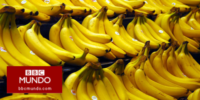 ¿Puede matarte comer más de 6 plátanos de una vez?