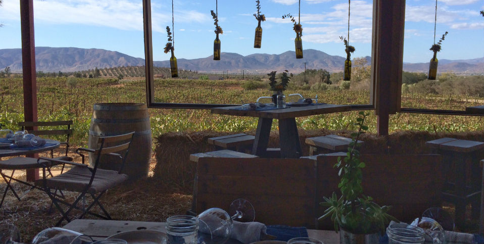 ¿Una Denominación de Origen de vino mexicano?