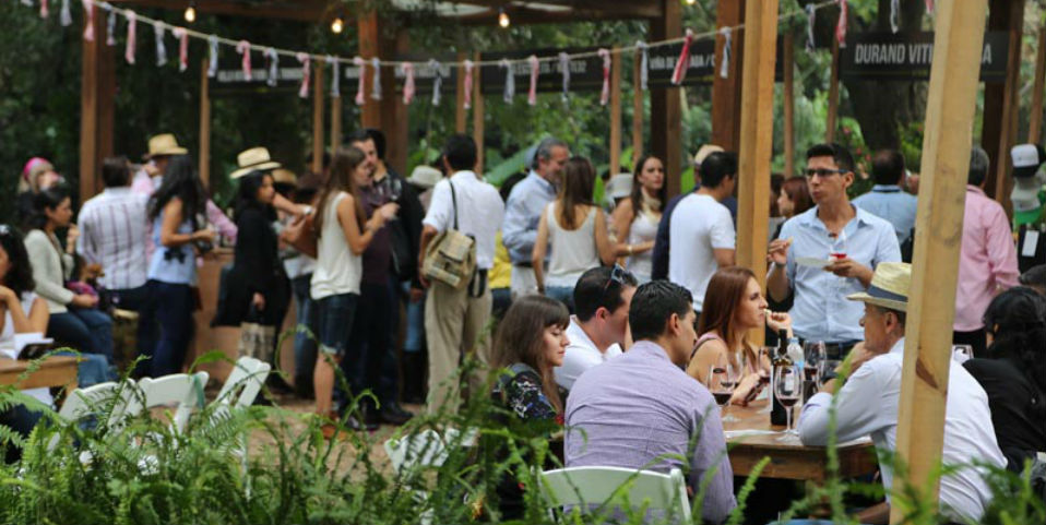 Y a todo esto, ¿por qué hacer #FEVINO?