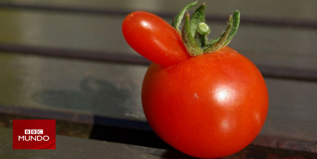 Los vegetales "feos" que los supermercados no quieren que lleguen a nuestro plato
