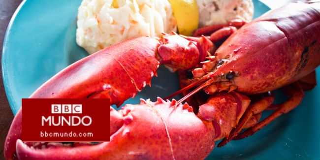 El cambio que hizo que la langosta llegara hasta McDonald's