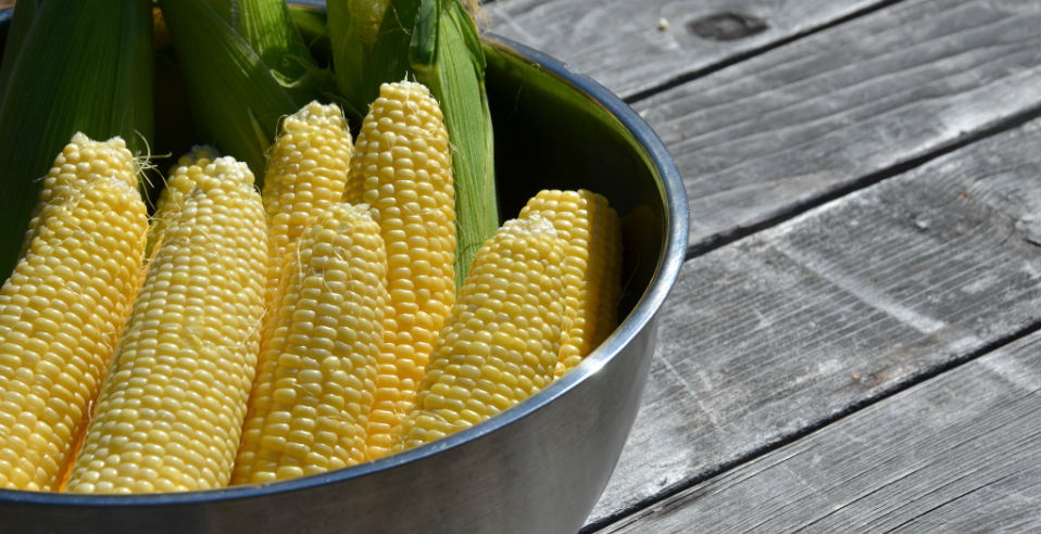 La vida en nuestras mesas