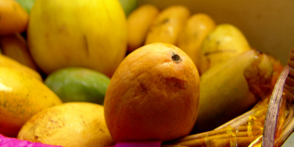 #50SaboresMexicanos El rey de México, el mango