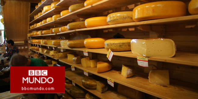 ¿Son los holandeses los más altos del mundo por comer más queso?