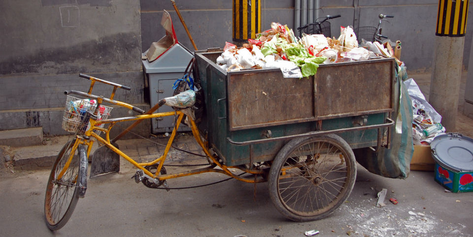Comida a la basura: Los niveles del desperdicio