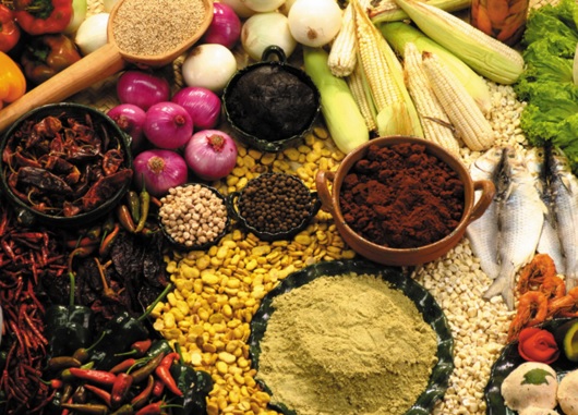 Charlas-degustación en el Franz Mayer: México, un país de cocina palaciega y comida callejera