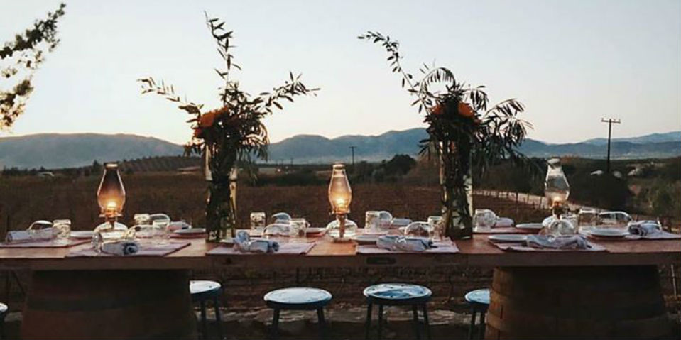 #GallinitaSugerente Deckman´s en el Mogor