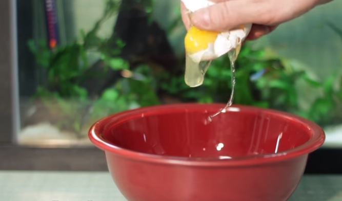 #VIDEO 14 trucos para cocinar, romper y preparar huevitos