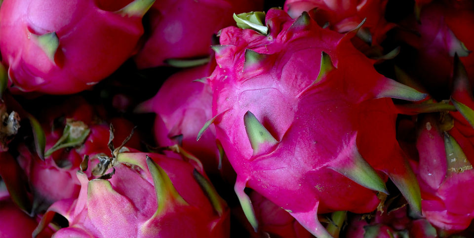 #50SaboresMexicanos Exótica y deliciosa pitahaya