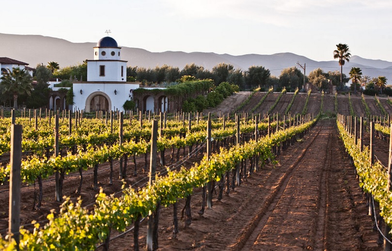 3 sucesos gastronómicos en Baja California en 2016