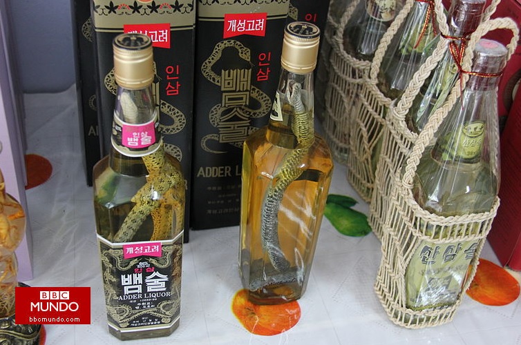 El polémico vino de serpiente que causa sensación en el sudeste asiático