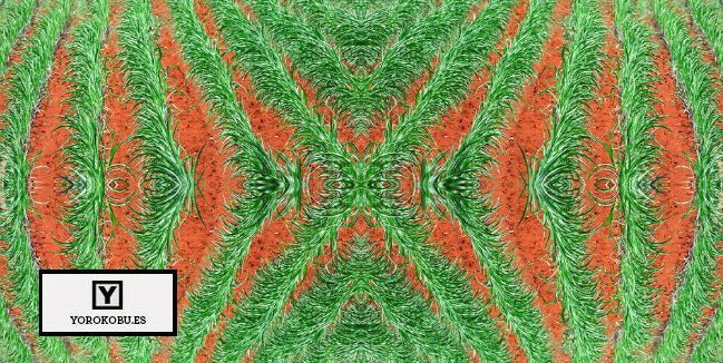 Llevamos 14 mil años modificando alimentos genéticamente