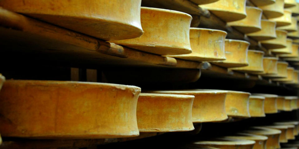 ¡Mon Dieu! En Francia producen electricidad a partir del queso