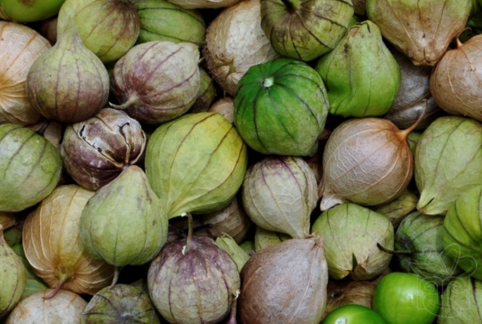 #50SaboresMexicanos El imprescindible tomate verde