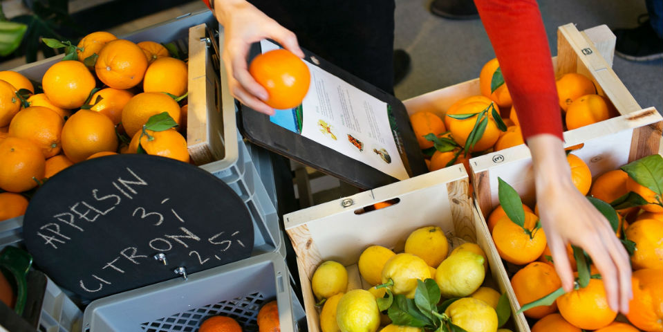 Dinamarca se une a la lucha contra el desperdicio de comida