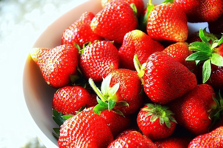 La esclavitud en la recolección de fresas en México