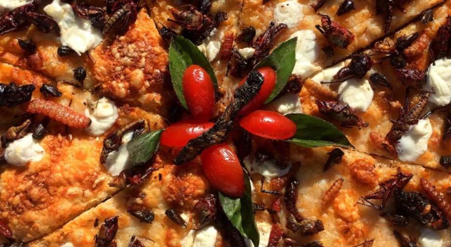 El arte de hacer que los niños prueben de todo (hasta pizza de insectos)