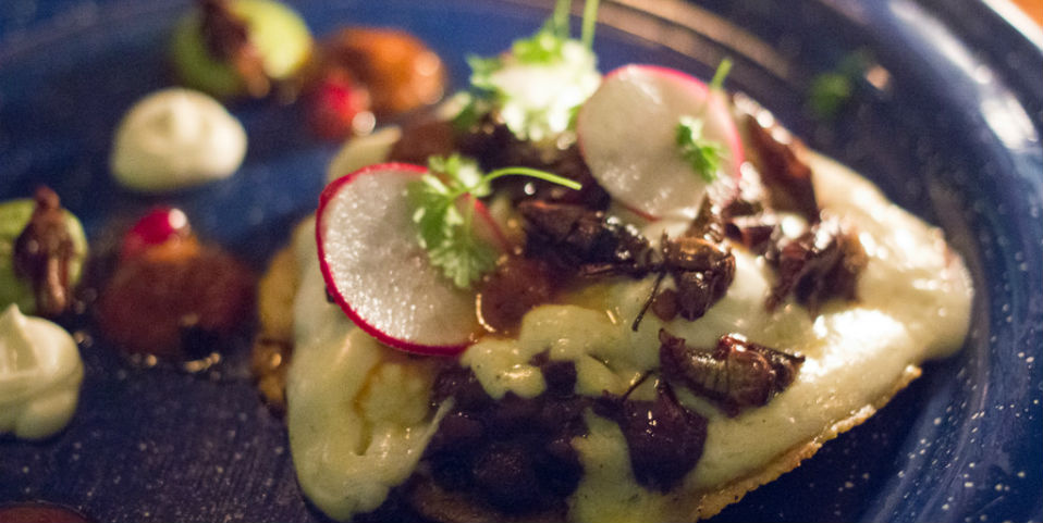 #CocinerasTradicionales Cabrito de Nuevo León y tlayudas de Oaxaca