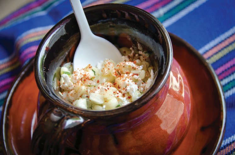 La cocina del centro de México
