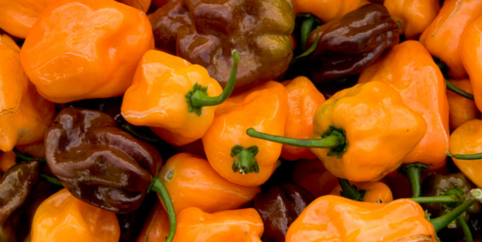 Cinco usos del habanero fuera de la cocina