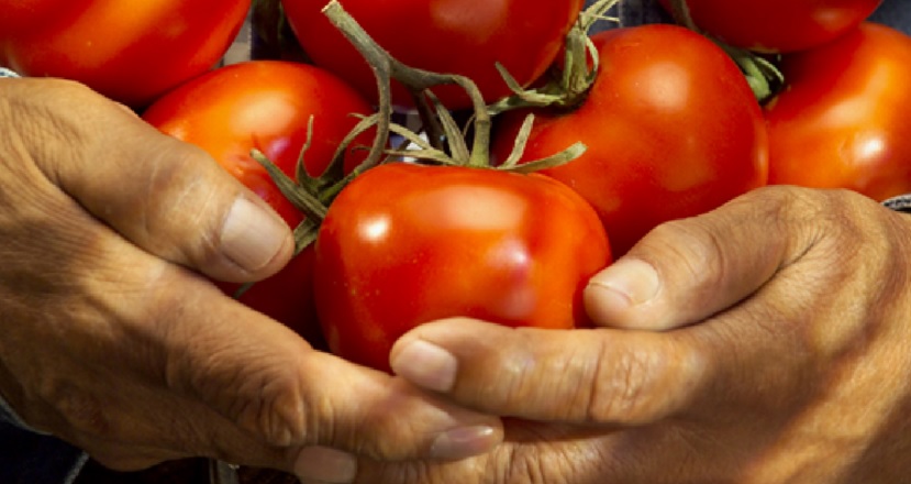 De la vista nace...¡el antojo! Curso de estilismo de alimentos con Ignacio Urquiza