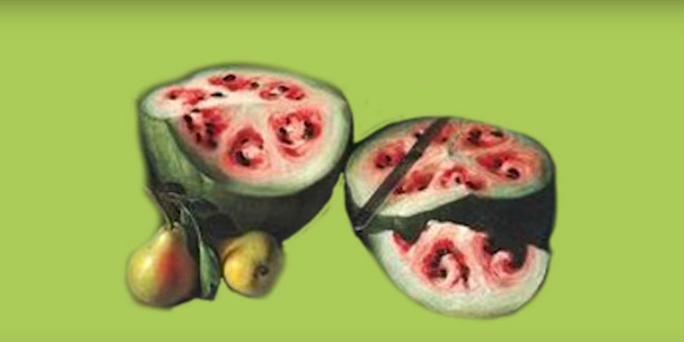 #VIDEO El antes y después de los vegetales