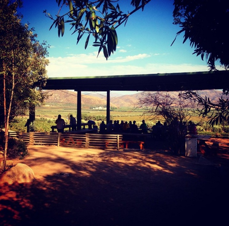 Dónde comer maravillosamente en Ensenada y el Valle de Guadalupe, según 4 expertos