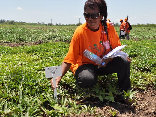 World Food Prize: reconocen a científicos por alimentos biofortificados