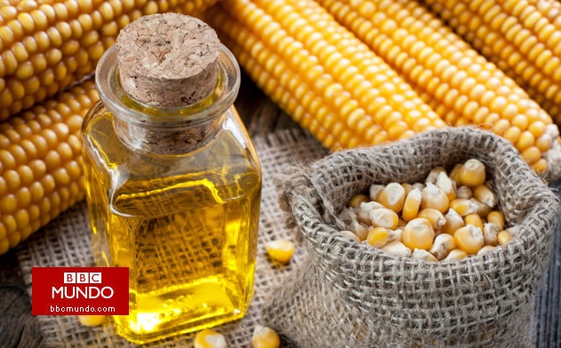 Los aceites vegetales que pueden ser dañinos para tu salud