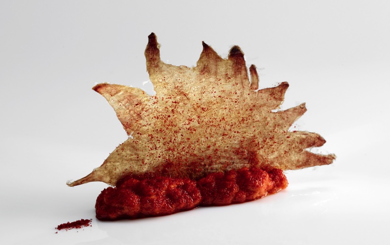 Brainy Tongue: la relación entre la neurociencia y la comida