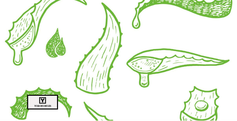 ¿Y si juntas cerveza con aloe vera?